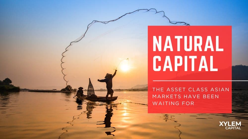 Natural Capital: The Asset Class Asian Markets Have Been Waiting For